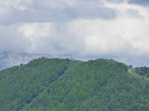Le mont Pelat (1543m), sommet de la station d'Aillon, avec la piste noire 'les Massines' et la bleue sur la droite.