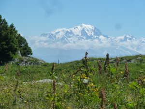 Le Massif du Mont Blanc.