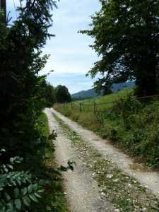 Le chemin tranquille qui mène au pont du diable.