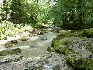 Le nant de Bellecombe avant les gorges.