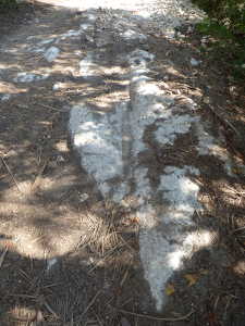 Sur le chemin du Mariet d'Arith, les traces creusées dans la mollasse.