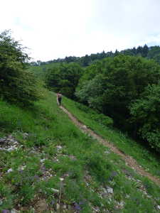 Entrée dans l'alpage de la Galoppaz.