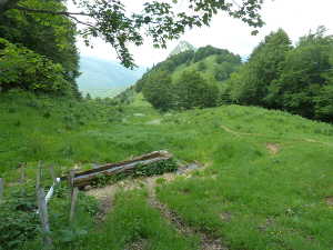 Bassin d'alpage antique.