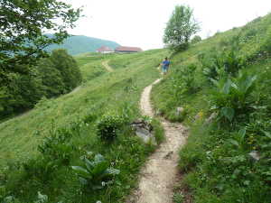 Vue arrière sur les chalets de la Buffaz.