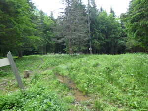 Arrivée au col de la combe Servenne.