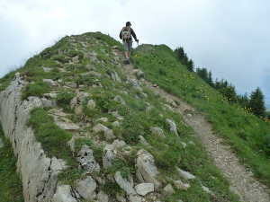 Sur la fin du sentier, pas loin de la croix de la Galoppe.