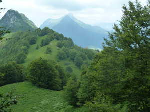 Descente vers le col de la Buffaz.