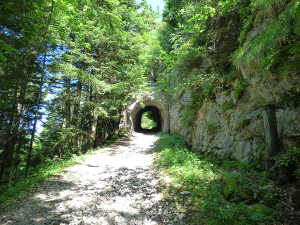 Arrivée au premier tunnel, en aval de Pré Japert.