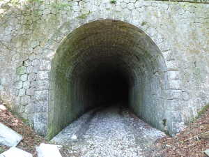 Entrée du tunnel de pré Farnier.