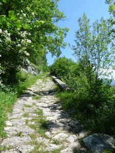 La voie pavée du XIX ème, au dessus d'Allèves.