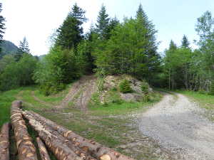 Jonction avec la piste forestière (à droite) qui retourne sur Nant Fourchu.