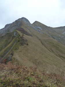 La crête vers Tré le Mollard - Mont de la Coche.