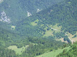 Une partie de l'alpage de Bellevaux depuis la montagne des Lanches.