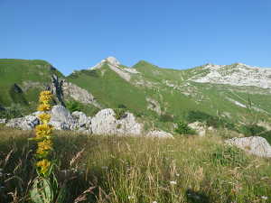 Tré le Mollard (2035m) et mont de la Coche (2070m).