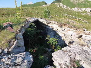 Ruines des caves du plan de la Limace.