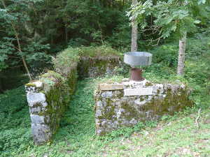 Ruines de maisons au hameau du Verney. Dessus, un ancien pluviomètre.
