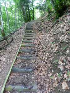 Les marches en rondins de bois sur le sentier qui grimpe raide sur la fin du parcours.