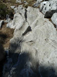 Erosion par ruisselement des pluies sur les pierres calcaires de Margériaz.