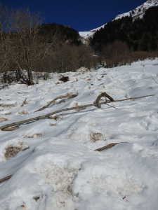 Détail de l'avalanche depuis 'Varapet'.