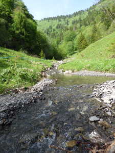 Le Chéran à sa source, sous Chaurionde.