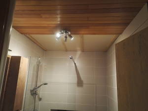 Repose du lambris au plafond et remplacement de la lumière par un spot.