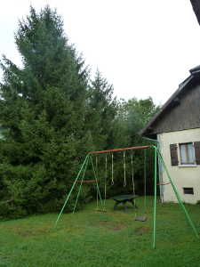 Les sapins plantés dans les années 1980.
