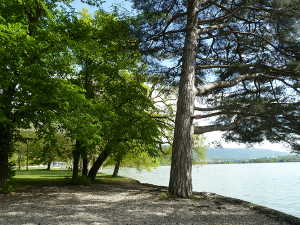 Parc de la pointe de l'Ardre, en bordure de lac et bien ombragé.