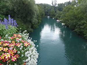 Le canal de Savières.