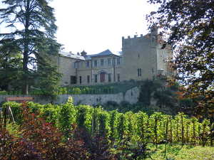Le chateau de Bourdeau.